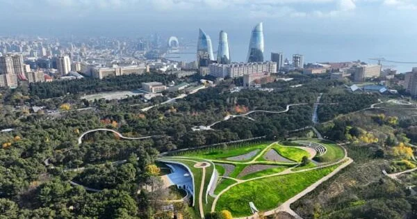 Bakıdakı bu tədbir sosial şəbəkələrdə trend oldu Foto