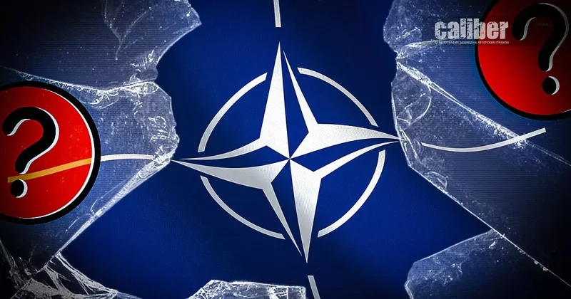 Если НАТО больше нет Аналитика Прейгермана