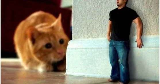 Zoofobiyası olanlarla həssas davranmaq lazımdır