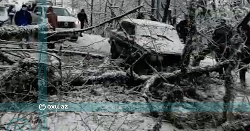 Lerikdə qarlı hava nəqliyyatın hərəkətini İFLİC ETDİ