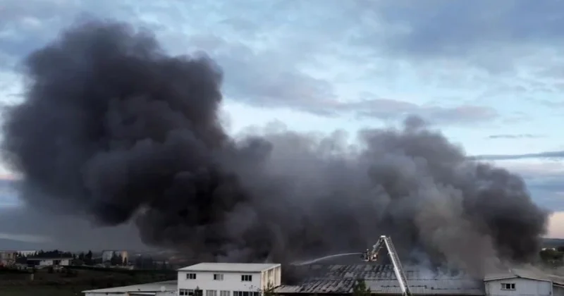 Türkiyədə fabrikdə güclü yanğın başladı VİDEO