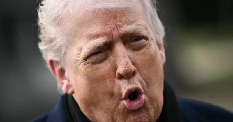 Американский журналист опубликовал письмо Трампа премьер министру Норвегии