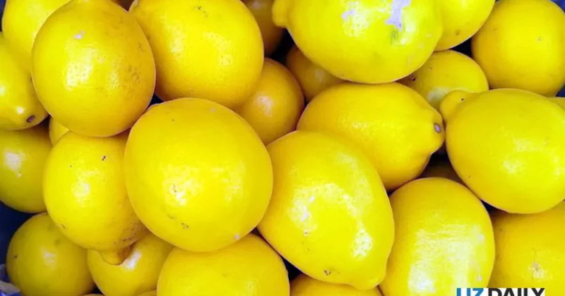 Узбекистан резко увеличил экспорт лимонов: больше всего в Казахстан