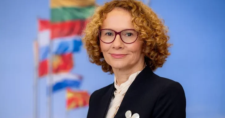 Для чего в Азербайджан прибудет заместитель генсека НАТО?