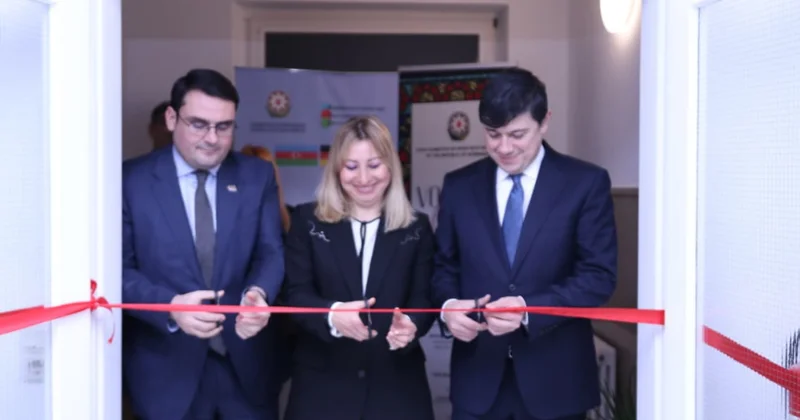 "Азербайджанский дом" в Штутгарте: практическое воплощение общественной дипломатии