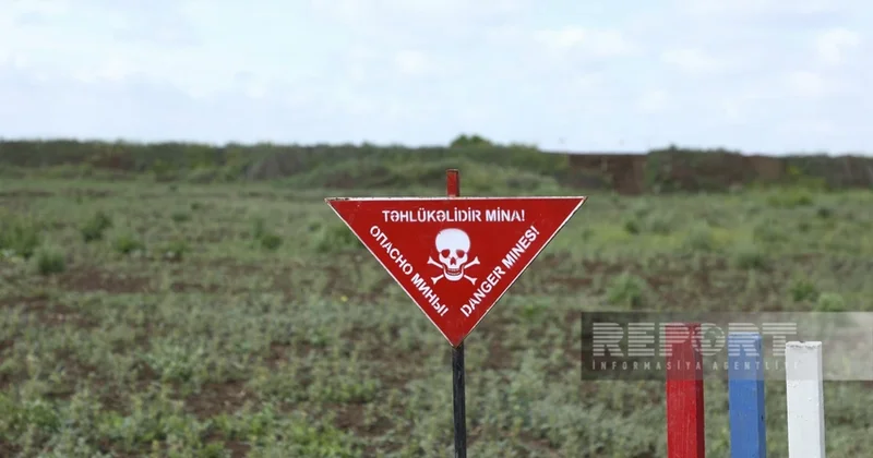 ANAMA: На прошлой неделе от мин очищено более 508 гектаров территории