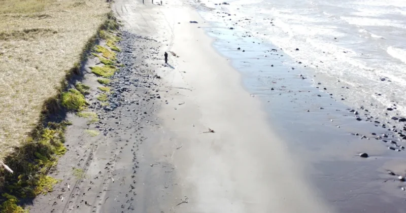 İqlim dəyişikliyinin okeana vurduğu iqtisadi ziyan hesablandı Tədqiqatçılardan HƏYƏCAN TƏBİLİ