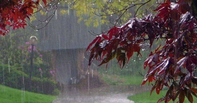 Lənkəranda leysan yağışları Daşqınlar baş verdi