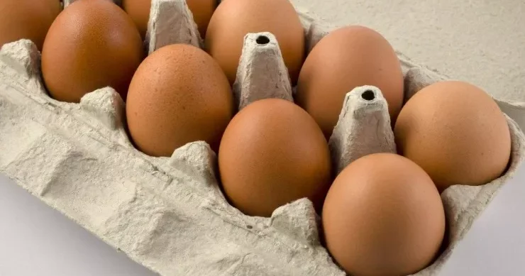 Yumurtanın köhnəldiyini belə yoxlayın