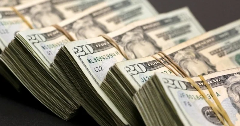 Dollar dünya ehtiyatlarında kəskin enişə keçdi