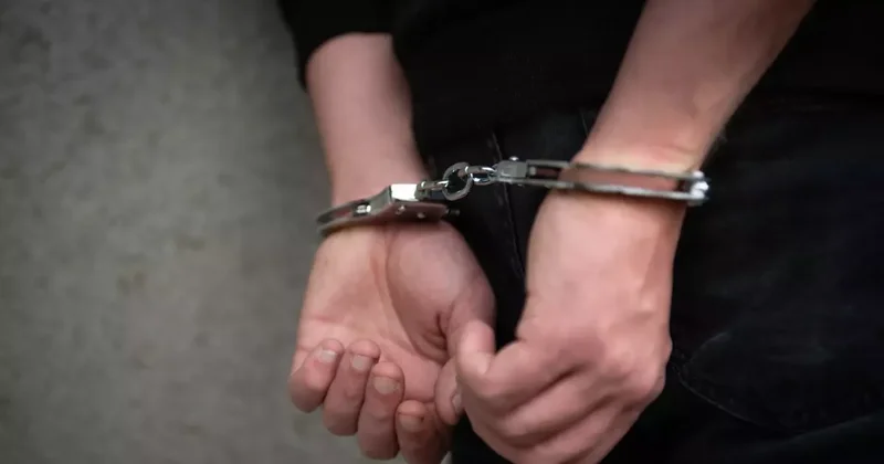 Организация проституции: разыскиваемый через Интерпол гражданин Турции задержан в Грузии