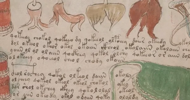 Dünyanın ən sirli kitabı: Voyniç manuskripti nin 500 illik açılmayan şifrəsi