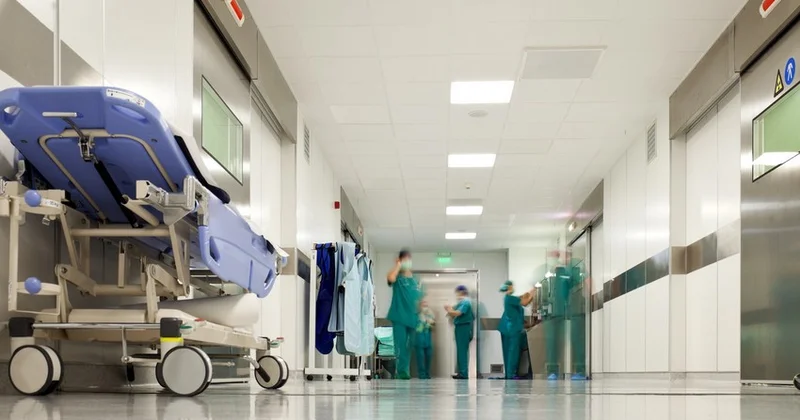 “Əli və Nino” kitab evinin sahibi “Liv Bona Dea” Hospitalda nələrlə üzləşib? Şikayət