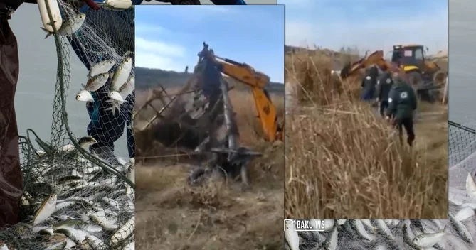 Çaylarda balıqlar buna görə yoxa çıxır