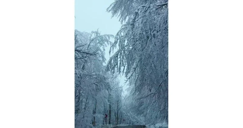 Кифа Нури показала снежную сказку в Турции ВИДЕО