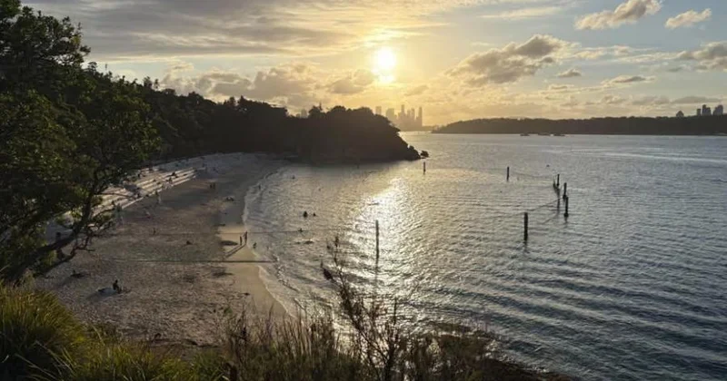 Akula 12 yaşlı uşağa hücum etdi