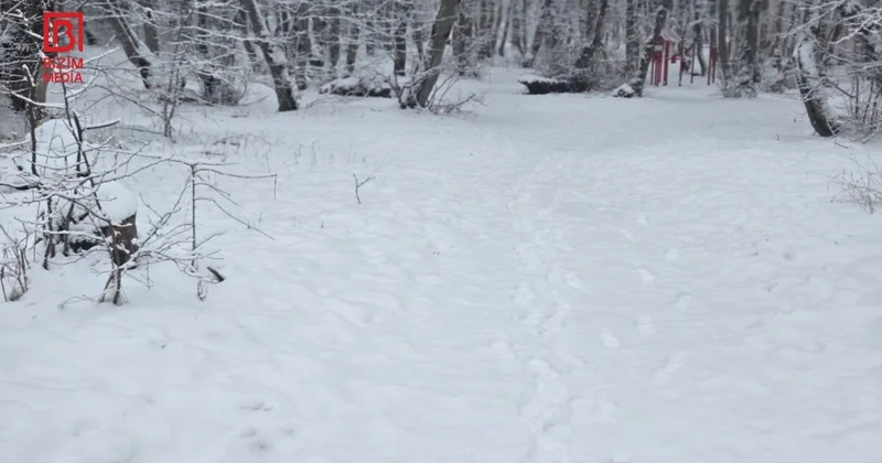 Şimal bölgəsinə yenə qar yağdı FOTO/VİDEO