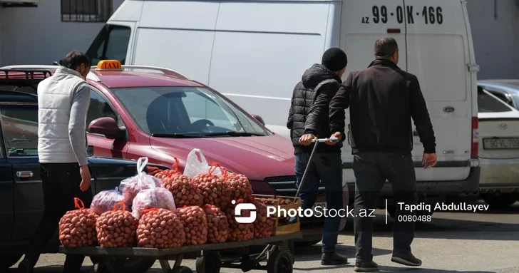 Урожай есть прибыли нет: почему азербайджанские фермеры работают себе в убыток?