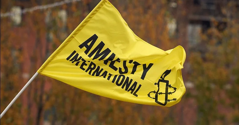 Amnesty International как правозащита или геополитическая селекция? Minval Politika