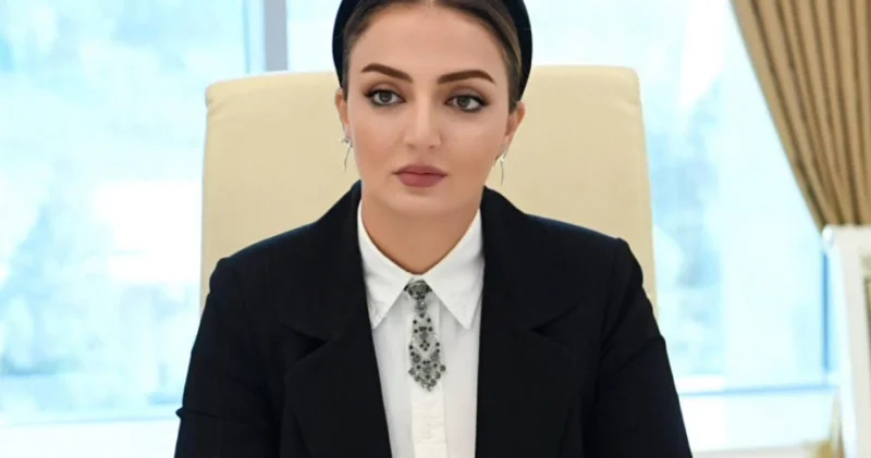 ABŞ Azərbaycan əməkdaşlığının yeni mərhələsi postmünaqişə dövründə etimadı artırır ŞƏRH