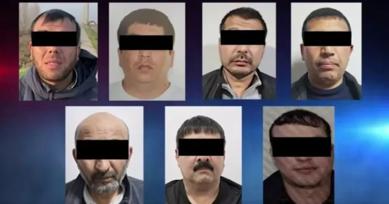 В Узбекистане пресекли отправку 71 килограмма наркотиков в Россию: ВИДЕО