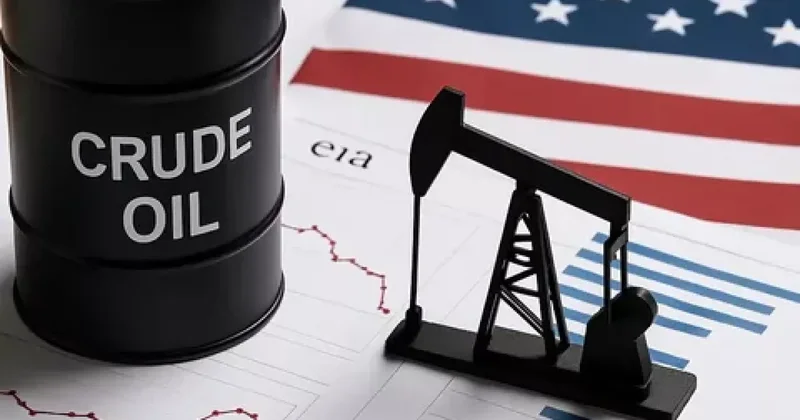 Американский институт нефти собирает ключевых чиновников для обсуждения кризиса цен на топливо