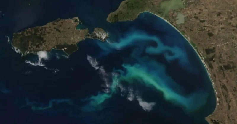 NASA okeanda nəhəng həyat formasını qeydə alıb...