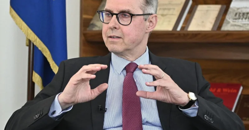 Peter Fişer: Diplomatlar Gürcüstanda məhkəmələrə təsir etməyə çalışırlar