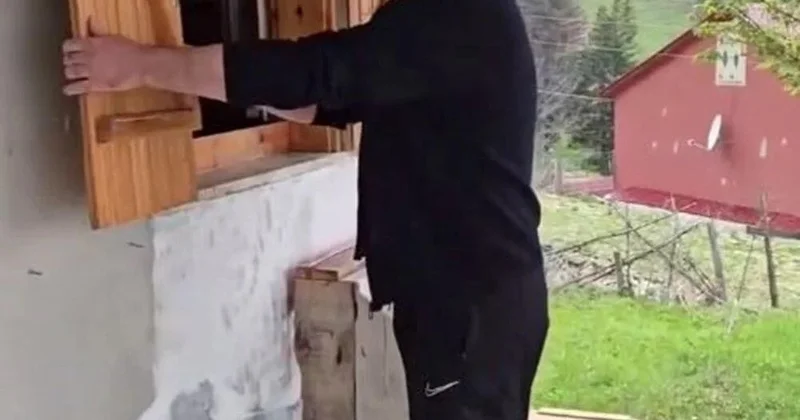Bələdiyyə sədrinin evində “ayı sürprizi”