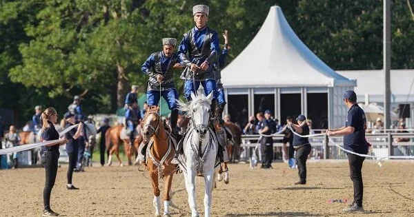 Qarabağ atları Britaniyada şou göstərdi Video