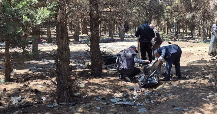 У экологического поста ГДП уничтожено 64 дерева