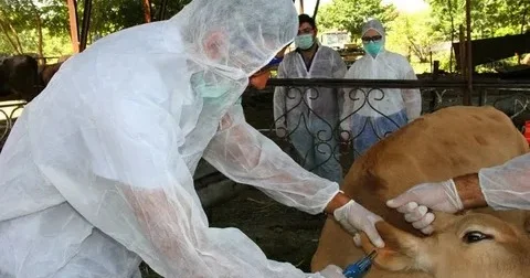Baytar ixtisası müasir tələblərə cavab vermir və ixtisaslaşmaya ciddi ehtiyac duyulur QURUM RƏSMİSİ DANIŞDI