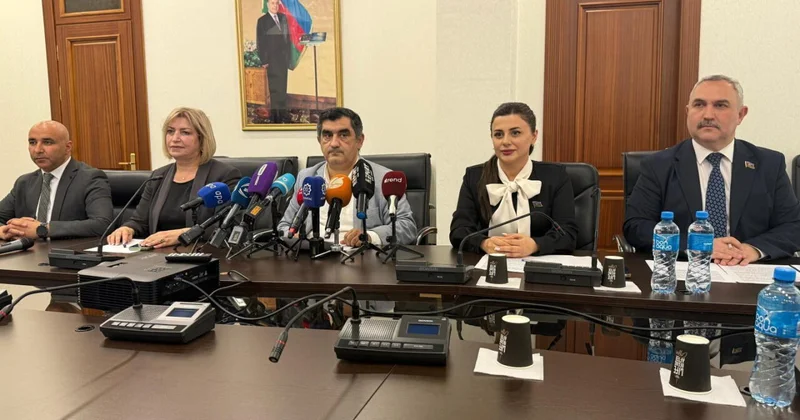 В Азербайджане идет работа по обновлению законодательства о НПО