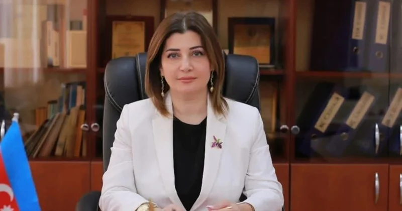 Məktəb direktoru yazır: Gəncləri cinayətkar davranışlardan necə qoruyaq?