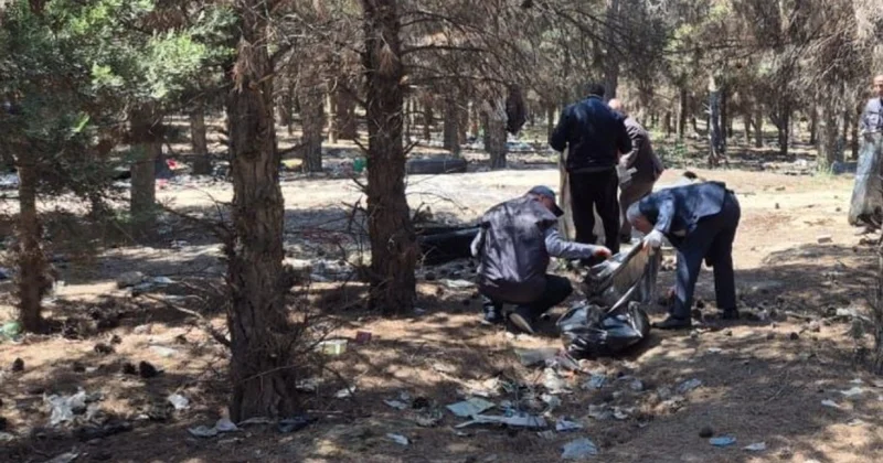 Abşeronda 64 ağacın məhv edildiyi yaşıllıq sahəsi bərpa olunub