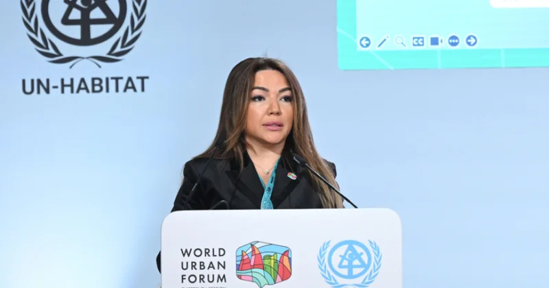 Aygün Əliyeva: İnklüziv cəmiyyətin formalaşmasında vətəndaş cəmiyyəti institutlarının iştirakı xüsusilə mühüm rol oynayır