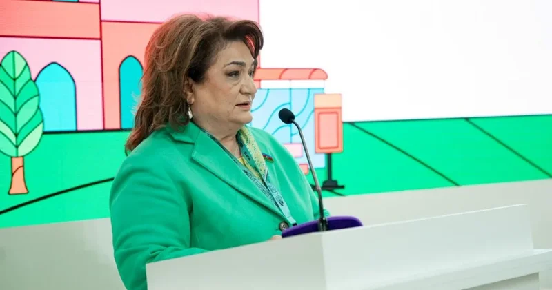 WUF13 çərcivəsində Erkən xəbərdarlıq və iqlimə dayanıqlı şəhərlər mövzusunda tədbir keçirildi FOTOLAR