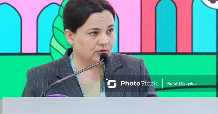 Ильхама Гадимова: Система раннего предупреждения ключ к продовольственной безопасности АР