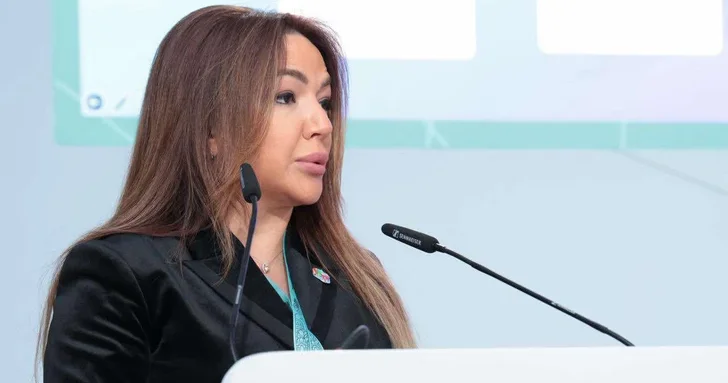 Айгюн Алиева: Инклюзивная городская политика является одним из глобальных приоритетов современности