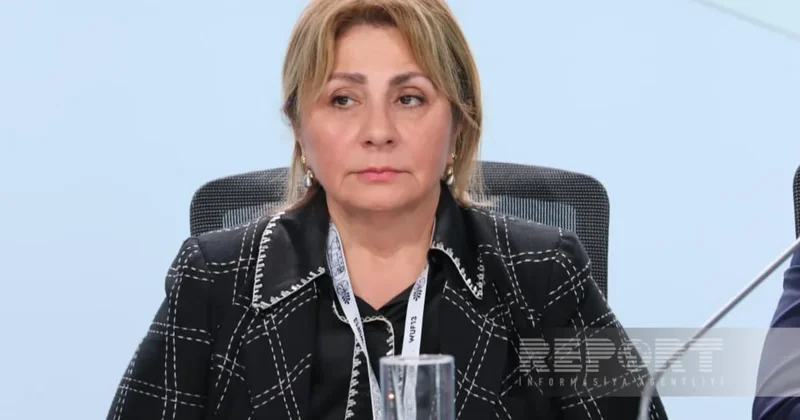 Гюльшан Рзаева: Азербайджан продвигает инициативу 4SRP для восстановления населенных пунктов