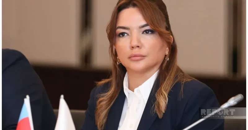 Айгюн Алиева: Устойчивое городское развитие невозможно без участия гражданского общества