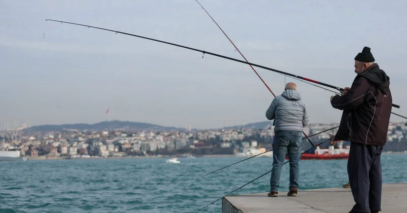 Xaricdə balıqları bəsləmək daha sərfəlidirmi?