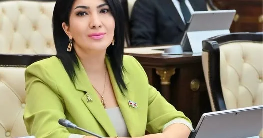 “Prezident Azərbaycanın keçmişi, bu günü, gələcəyi haqqında dünyaya mesaj verdi”