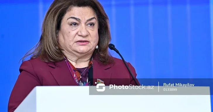 Хиджран Гусейнова на WUF13: Расширение систем раннего предупреждения приоритет для Азербайджана