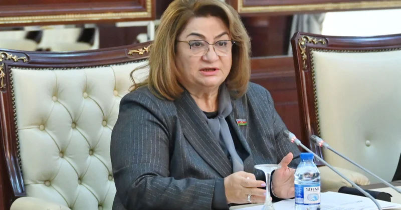 İcra hakimiyyətləri problemli ailələri nəzarətə götürməlidir komitə sədri