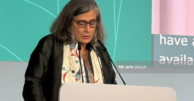 UN Habitat ın icraçı direktoru: Nyu Yorkda şəhərsalma gündəliyini yeniləyəcəyik
