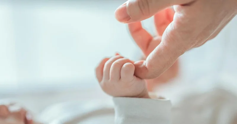 Azərbaycanda doğum faizinin aşağı düşməsi hökuməti narahat etmir EKSPERT