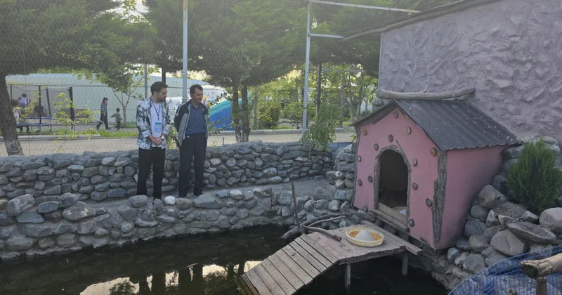 Qax rayonunda turizm obyektlərinin ətraf mühitə təsiri araşdırılıb