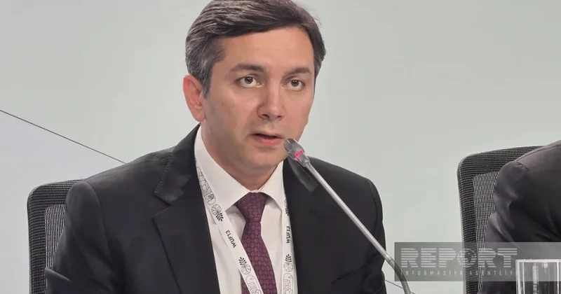 Рафиев: Климатическая повестка должна сохранять преемственность между COP и WUF
