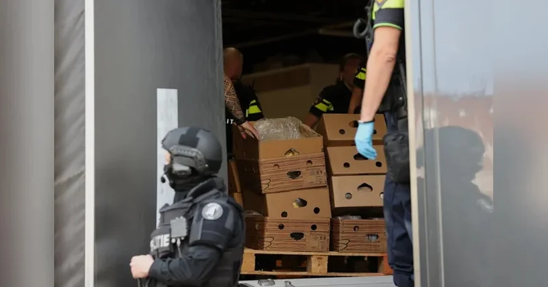 В супермаркетах в Нидерландах нашли десятки кило кокаина в бананах
